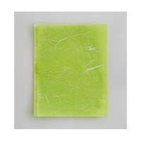 ���ٌ����܁@�J�}�X�@�f�t�i�_���^�C�v�j�m