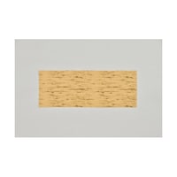 ����@����@�P�����p�@�P�P�[�X�i�Q�O�O