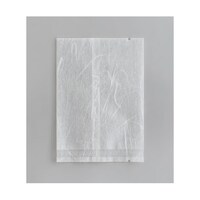 �����܁@�����f�t�i�_���^�C�v�j�m���D�X�@