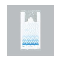 ���W�܁@�C�[�W�[�o�b�O�@�֐��@�m���D�S�T