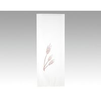 �o�P�b�g�܁@�t�����X�p�����܁@��{�p�m��