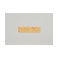 ����@����@�P�O�O���p�@�P�P�[�X�i�Q�O