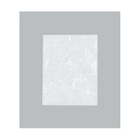 ���ٌ����܁@�J�}�X�@�f�t�i�_���^�C�v�j�m