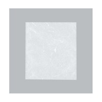 ���ٌ����܁@�J�}�X�@�f�t�i�_���^�C�v�j�m