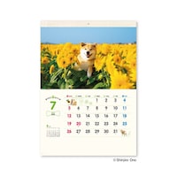 �Č��܂�Ƃ�����ہi�Ǌ|���j�@�m�j�R�T�@�P��