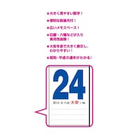 �Q�P�W�����{�T�C�Y�J�����_�[�@�m�j�P�X�O�@�P��