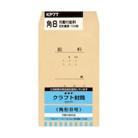 �j�o�@�V�O�@���a�t�@�o�@�P�p�b�N�i�P�O�O