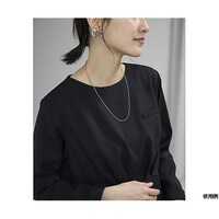 �v���I�[�o�[�@�P�P�f�@�t�@�C���N���X�@�u