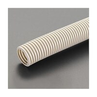 �ӂQ�Q�������Q�T���@�m�z���p�n�t���L�ǁ@