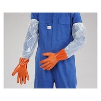 �m�l�^�U�O�O�����n�@��܁i�r�J�o�[�t�E��