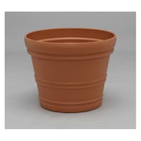 �o�����V�A�|�b�g�@�P�V���@�u���E��