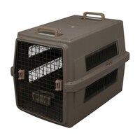 �G�A�g���x���L�����[�@�u���E���@�`�s�b�|