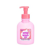 �z�C�b�v�E�H�b�V�����C�X�g�@�T�O�O���k�@