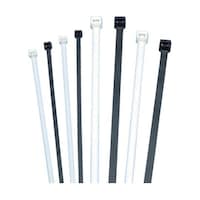 �o�k�s�P�l�l�V�X�@�e�t�[�������o���h