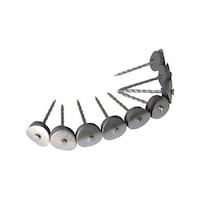 �X�e�����X�A���P�B�@�P�S�~�R�W�@�f�n�@�X