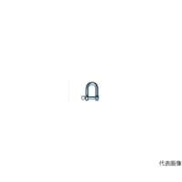 �P���V���b�N���@���@�Q�W�l�l�i�P�O�O�W�T