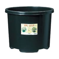 �m�o�o�S�T�a�j�@�m�o�|�b�g���S�T��