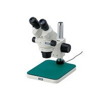 �k�|�S�U���̌�����