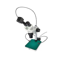 ���̌������i�o�b�p�j�������F�T�^�P�O�^�Q