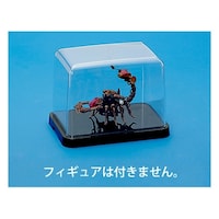 ���E���h�@�k�@