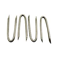 �O�P�T�U�Q�T�P���B�P�������P�U�~�Q�T����