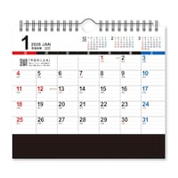 ���J�����_�[�@�r�b�O�X�P�W���[���@�m�j