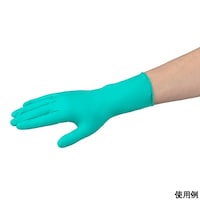 �N���[���m�[���l�I�v������܁@�r�@�P�O�O������@�P��