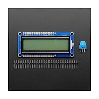 �P�U���Q�@�L�����N�^�k�b�c�f�B�X�v���C�i