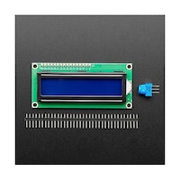 �P�U���Q�@�L�����N�^�k�b�c�f�B�X�v���C�i