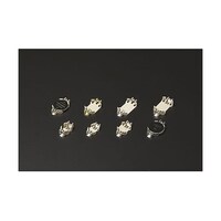 �{�^���d�r�P�[�X�@�r�l�s�t�^�i�K�p�d�r�b