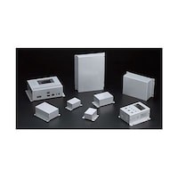 �t�����W���t�A���~�P�[�X�@�l�a�b�P�R�|�U