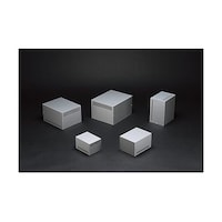 �l�a�g�^���M���t�A���~�P�[�X�@�l�a�g�P�Q