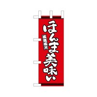 �~�j�̂ڂ�S�U�R�R�S�ق�ܔ������Ԓn�~�R