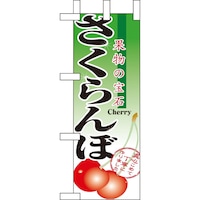 �~�j�̂ڂ�X�S�P�R�������ځ~�R