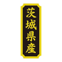 �^�b�N���x���@�Y�n�V�[���@��錧�Y