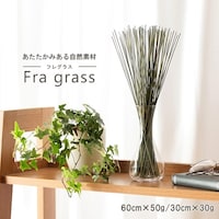 �G�݁@�����@�݂炢�@�U�O�����@�e�ʁF�T�O��