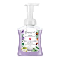 �A�~���[�Y