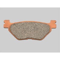 �o�C�N�p�u���[�L�p�b�h�@�S�[���f���p�b�h�w�@�u�|�l