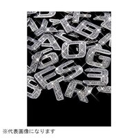 �W���G���[�C�j�V�����G���u�����@�T�@�N���X�^��