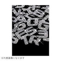 �W���G���[�C�j�V�����G���u�����@�X�@�N���X�^��