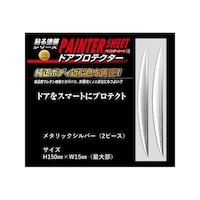 �y�C���^�[�V�[�g�@�h�A�v���e�N�^�[�@�Q�o�@���^���b