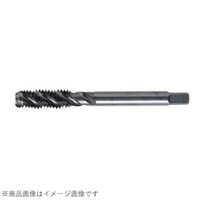 �X�e�����X�p�X�p�C�����^�b�v�@�l�P�Q���P�D�Q�T