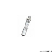 �G�N�X�e���V�����@�X�g���[�g�@�P�Q�@�~�@�P�D�V�T��