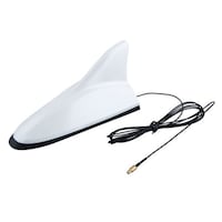 �V���[�N�A���e�i�@�r�l�`�[�q�^�C�v�@�z���C�g