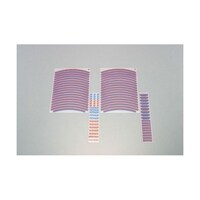 �������C���V�[�g�@���b�h�^�u���[�@�P�S�C���`�z�C�[