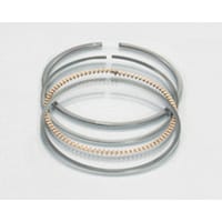 �s�X�g�������O�i�S�W�D�O�j