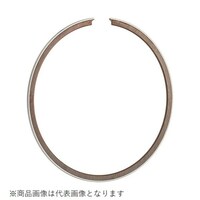 �T�O�����s�X�g�������O�i�O�T�O�j