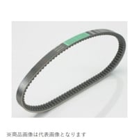 �P�u���[�x���g�i�R�j�@�c�h�n�|�y�w�D�c�i�|�P�q�q�D