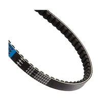 �h���C�u�x���g�@�W���O�^�c�w�^�y�q�i�S�X�g�ԁj