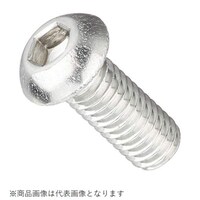 �{�^���L���b�v�{���g�i�X�e���j�@�U�w�P�T�^�Q�o�b